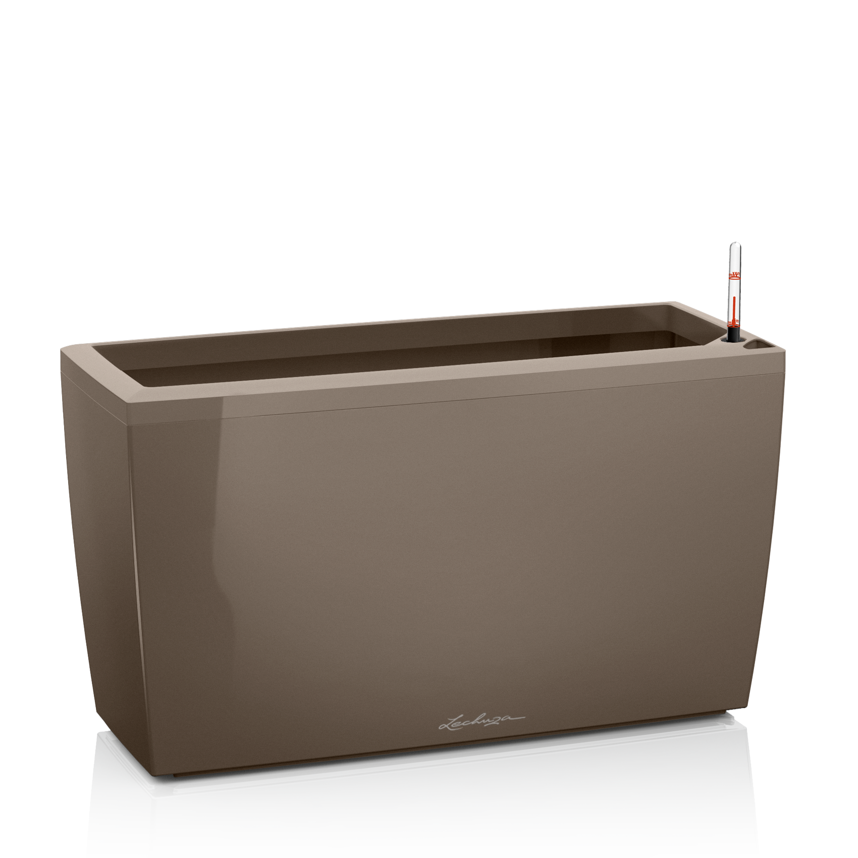 CARARO shiny taupe